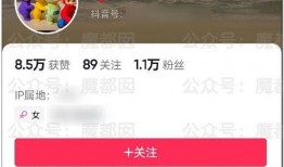 网红美女吃瓜网站大全,揭秘热门平台！