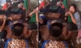 贻庆鸡爪车间爆料视频,揭秘食品加工全过程