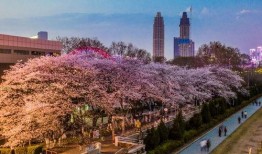 抖音网红吃瓜入口纽约,揭秘纽约吃瓜新潮流