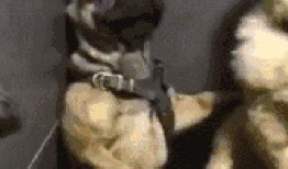 巴哥爆料新世界视频全集,新世界视频全集深度解析