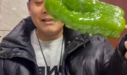 网红吃瓜曝料事件,揭秘娱乐圈背后的惊人真相