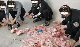 新闻爆料开发商被抓了吗,案情进展备受关注