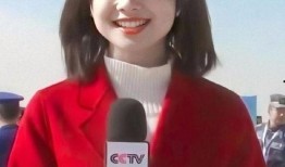 王冰冰知乎爆料事件视频,揭秘背后真相与网络舆论风暴