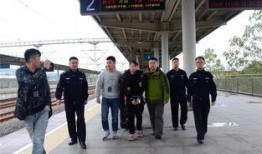 全州爆料视频,真实事件背后的惊人真相