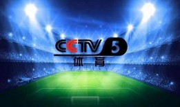 cctv8在线直播电视 观看,精彩剧集不间断，尽享视听盛宴