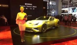 上海车展事件最新爆料