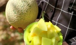 娱乐吃瓜场地是什么,探寻明星幕后故事的热门聚集地