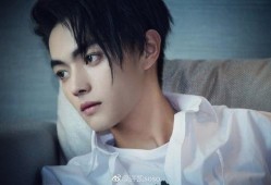 媒体爆料许凯视频下载网站,揭秘热门明星资源获取途径