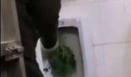 不冲厕所的爆料视频,揭秘不冲厕所的惊人真相