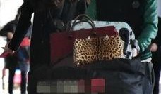 圈内人爆料董洁视频全集,圈内人揭秘不为人知的真相