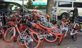 小区自行车爆料视频大全,揭秘日常生活中的温馨瞬间