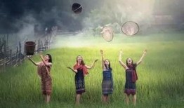 七条命完整版在线观看,生死边缘的惊险求生之旅