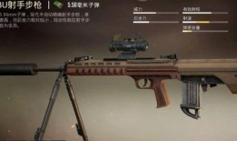 和平精英皮肤最新爆料枪