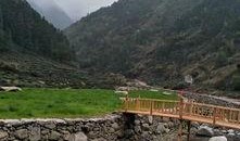 彭水爆料台最新答复,揭秘事件真相与后续处理