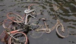 小区自行车爆料视频大全,揭秘日常生活中的温馨瞬间