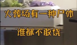 火葬场爆料员工视频真实,揭秘火化过程背后的真实景象