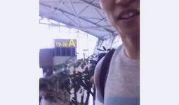 爆料刘姓明星视频大全,揭秘娱乐圈不为人知的秘密