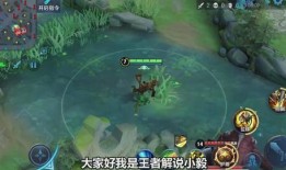 小飞棍王者爆料视频大全,揭秘游戏幕后精彩瞬间