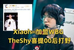 涵艺爆料打野视频,精彩操作与战术解析