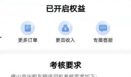 重庆滴滴司机最新爆料,揭秘行业内幕与困境