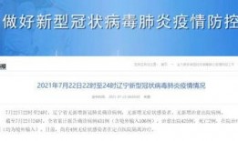 沈阳今天新闻最新爆料,最新爆料揭示重大事件内幕