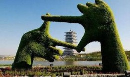 西安世博园爆料事件视频,揭秘背后真相