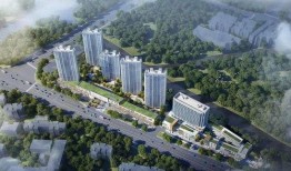 前湾新区爆料事件最新消息,最新进展揭秘！”