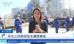 北京现场采访爆料视频播放,揭秘事件背后真相