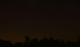 晚上看的在线观看,精彩瞬间回顾