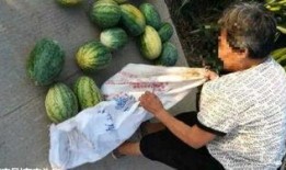 阳江吃瓜最新事件爆料,揭秘背后惊人真相