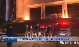 葫芦岛新闻爆料电话,揭秘市民爆料背后的故事