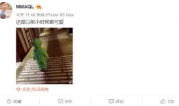 嫂子爆料男爱豆视频