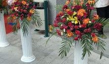 花篮网爆料最新视频大全