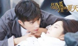 狐狸的夏天 在线观看,浪漫邂逅，夏日奇缘