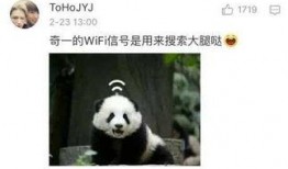 青姐爆料熊猫视频下载