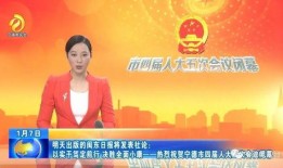 成都晚安爆料新闻,揭秘城市夜生活背后的故事