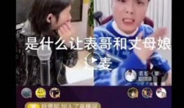 大头爆料表哥视频,大头爆料视频背后的惊人真相