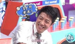 何炅往事爆料视频,那些不为人知的幕后故事