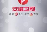 安徽卫视在线回放观看,精彩瞬间回顾