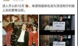 狗仔娱乐圈爆料小说推荐,娱乐圈幕后秘闻大揭秘