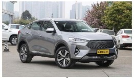 哈佛最新爆料消息视频大全