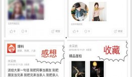 在哪可以获得爆料性新闻,揭秘爆料性新闻的五大获取途径