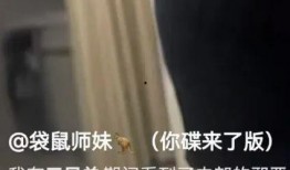 天涯爆料女网友视频大全,揭秘女网友视频大全背后的真实故事