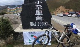 环线自行车最新爆料,绿色出行新潮流，未来骑行新趋势