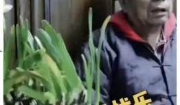 曲艺名家马岐直播爆料视频,曲艺界幕后故事大曝光