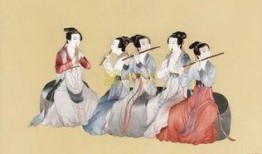 七仙女吃瓜说娱乐,揭秘娱乐圈幕后故事