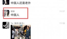 日本选举爆料视频在线