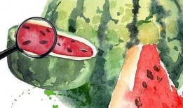 娱乐吃瓜场地是什么,探寻明星幕后故事的热门聚集地