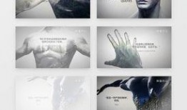 风景视频爆料网站下载,探寻自然之美背后的故事