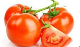 爆料西红柿的视频大全,趣味科普与美食分享